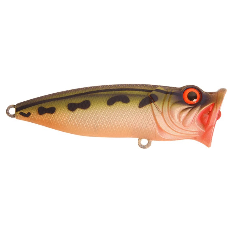 Perch Pop 7cm 12g