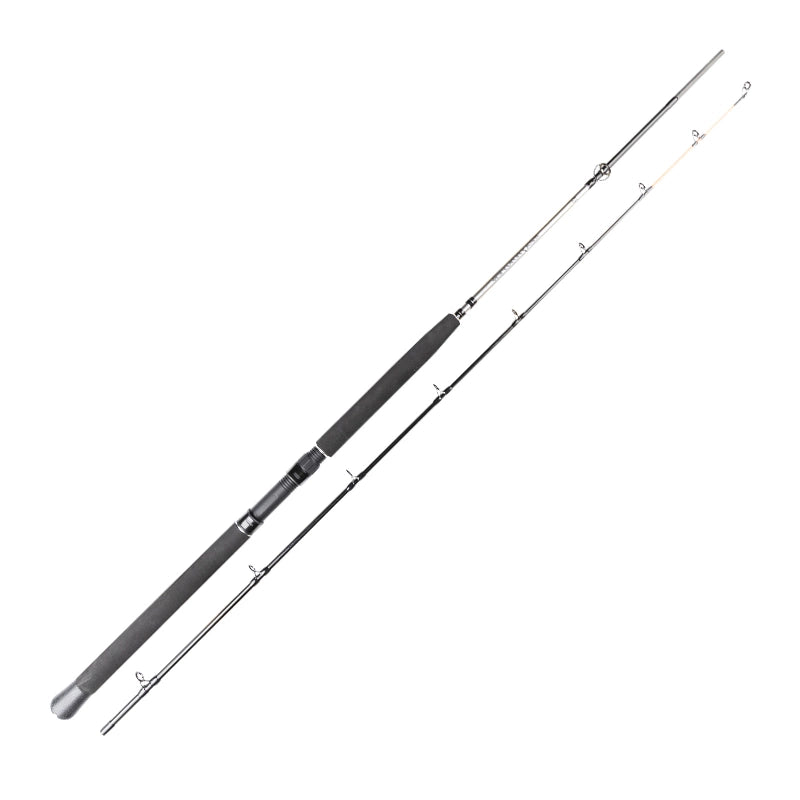 Daiwa Seahunter Trolling