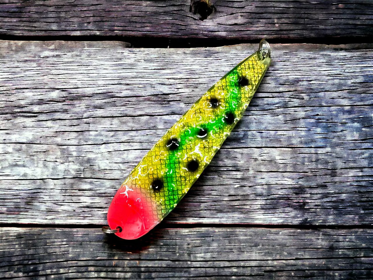 Salmon King 15cm FK Custom