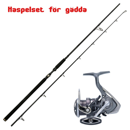 Haspelset gädda Westin w2 + Daiwa exceler